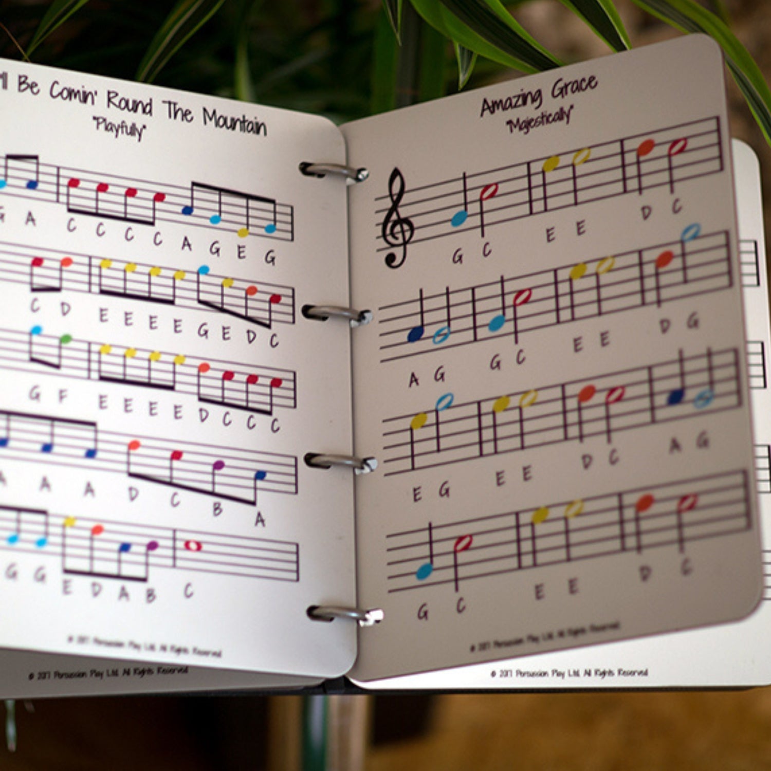 Music Book